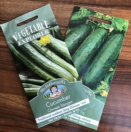 Two outdoor varieties of cucumber